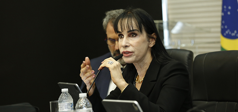 A presidente da Feninfra, Vivien Suruagy, apresenta o atual cenrio das empresas do setor